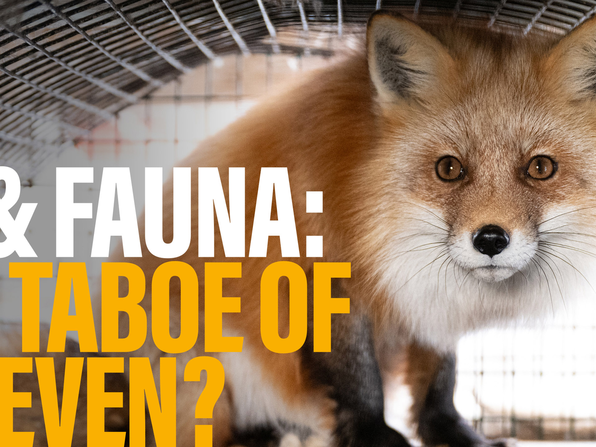 Bont voor Dieren Amsterdam Fashion Week campagnebeeld